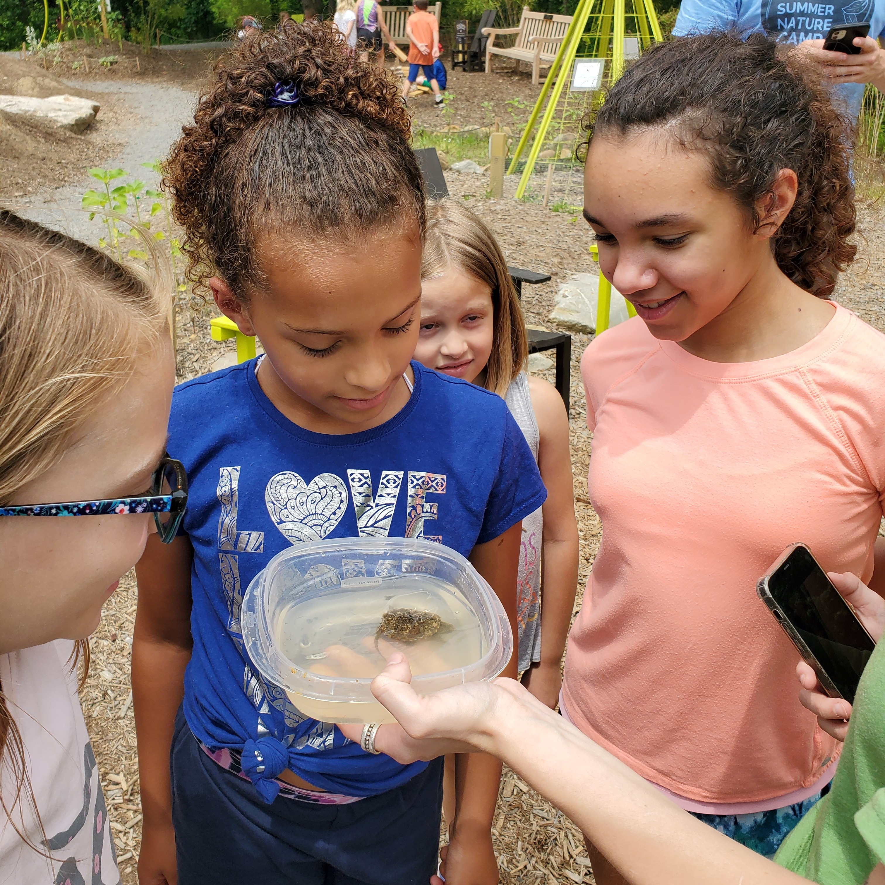 Discovery Camp — July 20—24 - logo